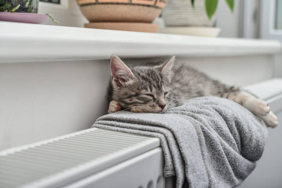 Radiatoren verwarming